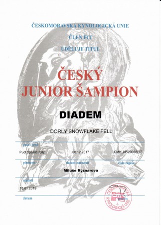 Český junior šampion